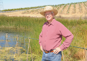 Jean-Pierre Wolff, owner of Wolff Vineyards, collaborated with the San Luis Obispo Turtle Society to create this refuge habitat for California native pond turtles. Photo: Dan Hardesty